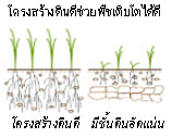 เกษตรอินทรีย์พลังชีวภาพ_หลักสำคัญ 3 ประการ 002